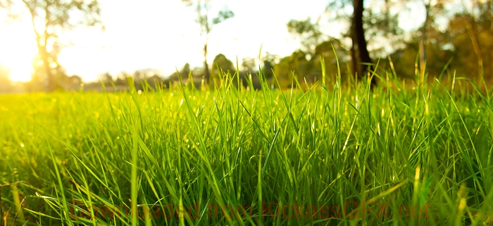 免费cc攻击测试