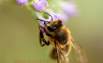 免费cc攻击测试