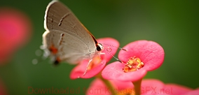 免费cc攻击测试